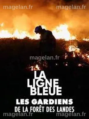 Les Gardiens de la forêt des Landes - Documentaire - SensCritique