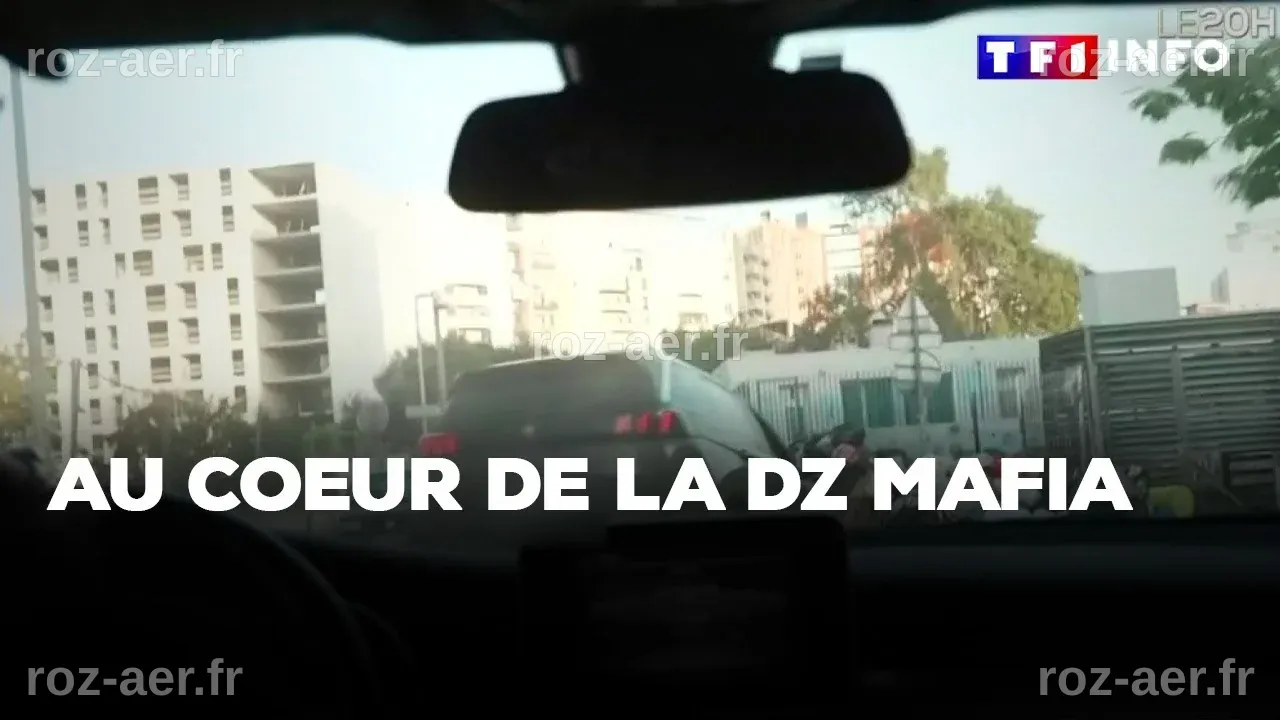 Documentaire | Au coeur de la DZ mafia