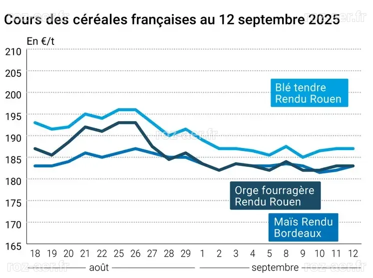 Quelles sont les raisons de la hausse des prix des céréales ?