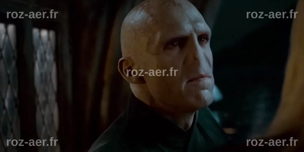 Lord Voldemort Acteur Harry Potter Cast Then And Now