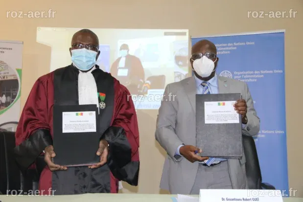 Santé mondiale : L'EISMV de Dakar évalue les défis des capacités vétérinaires en Afrique