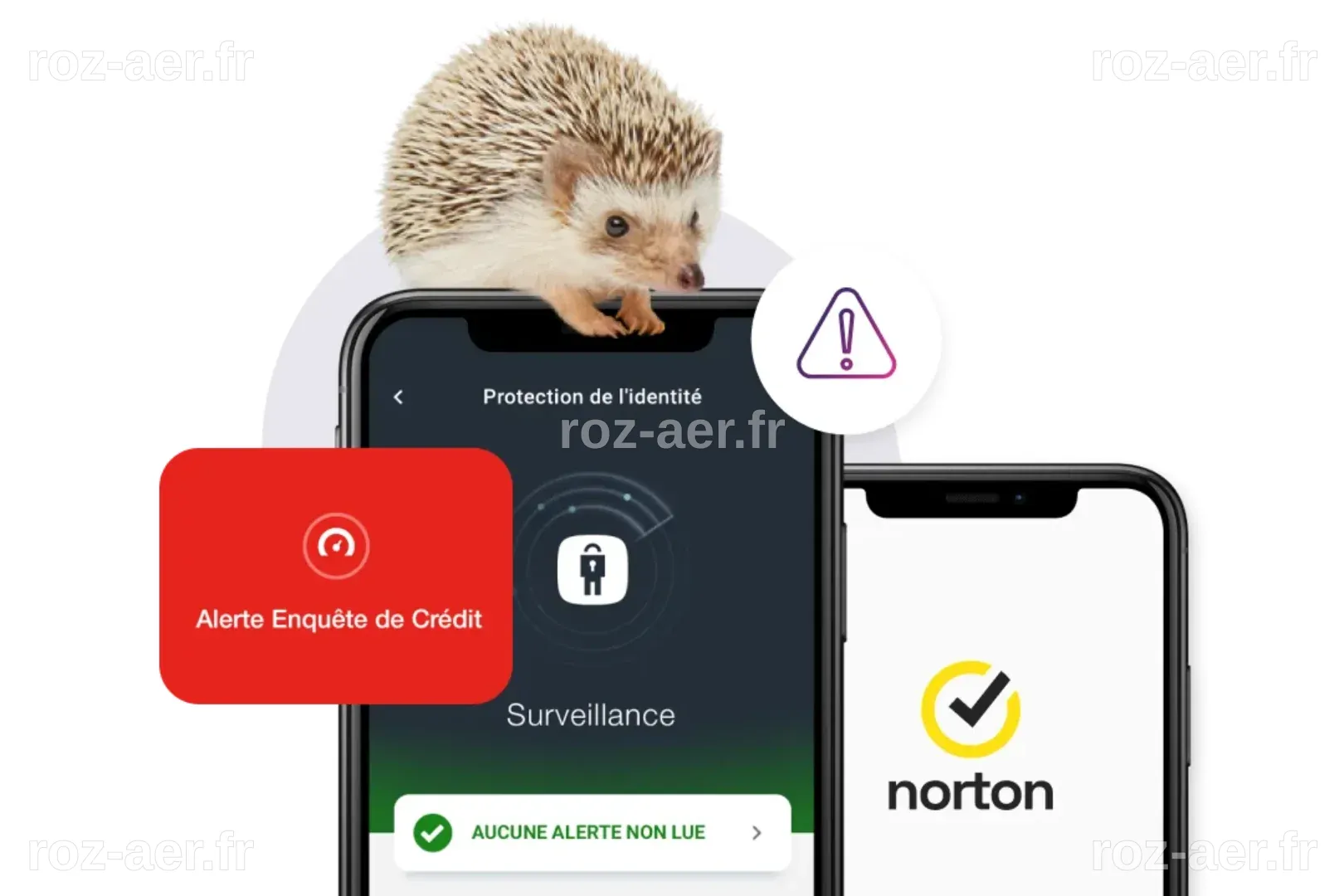 Le pouvoir de l'influence : Protection numérique de TELUS sensibilise à ...