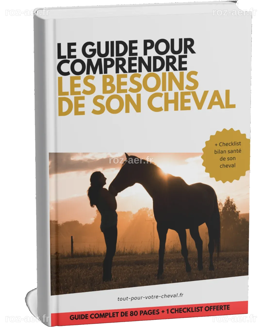 🐎 Calculateur d'Âge Cheval ↔ Humain - Tout pour votre cheval