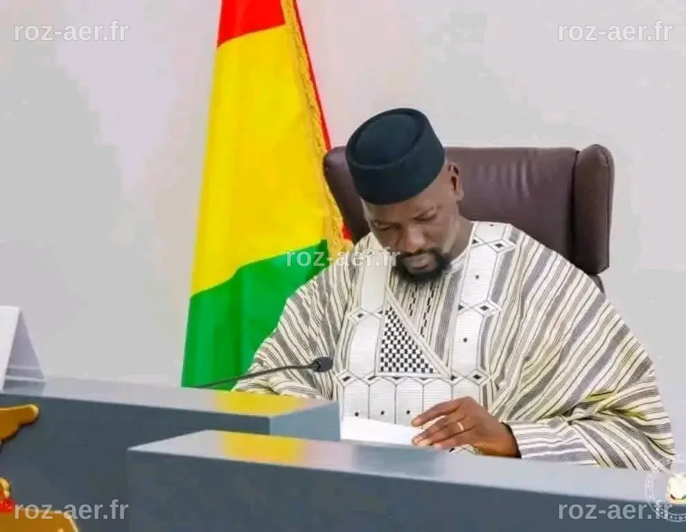 Guinée : une décret clarifie les missions et les responsabilités des ...