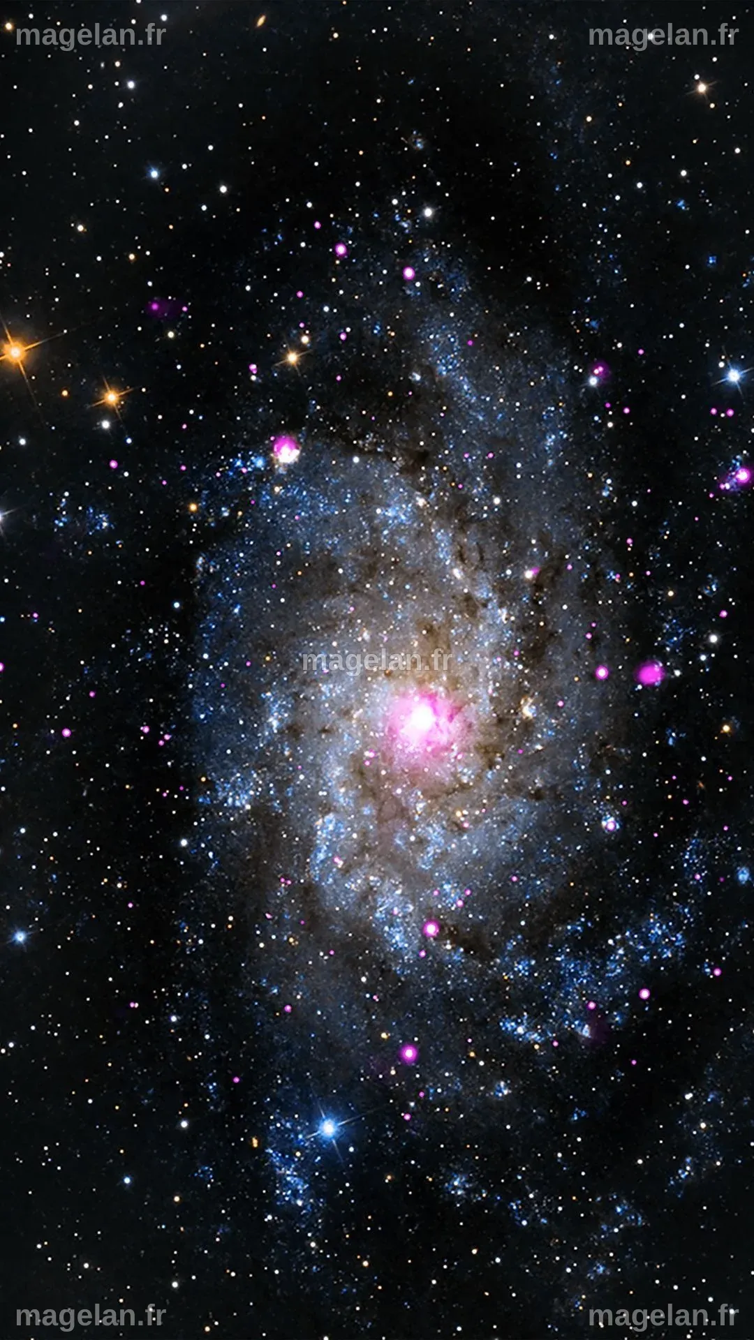 En images regardez cette sublime photo de la nébuleuse d orion – Artofit
