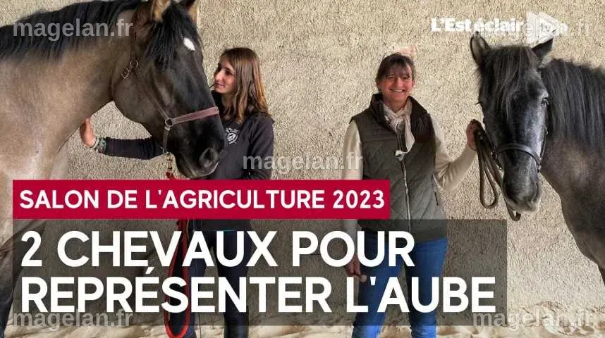 Vidéos : Des Aubois à 4 pattes pour le Salon de l'Agriculture - L'Ardennais