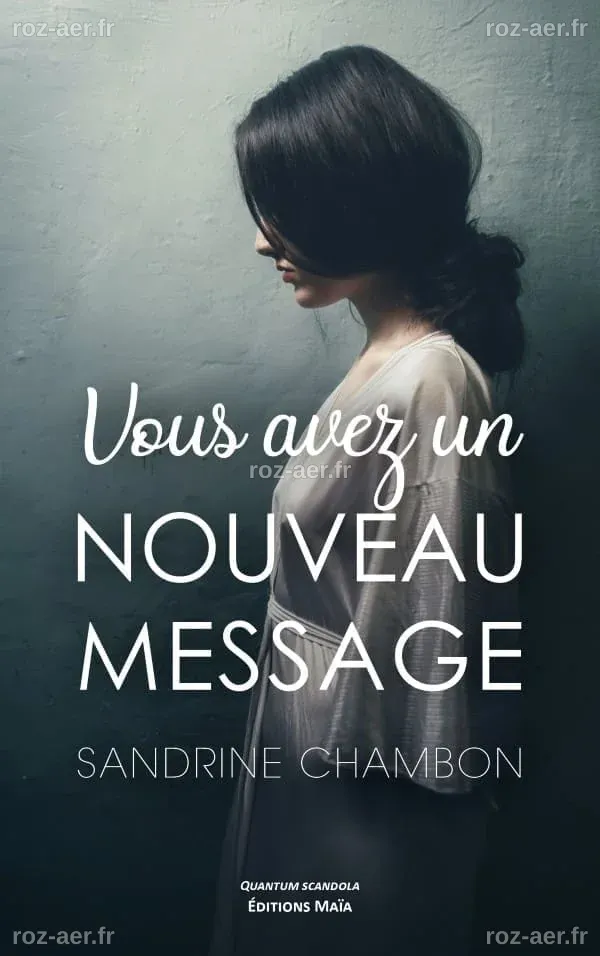 Voyageurs frustrés : Les aéroports lancent un nouveau message : N’arrivez pas trop tôt !