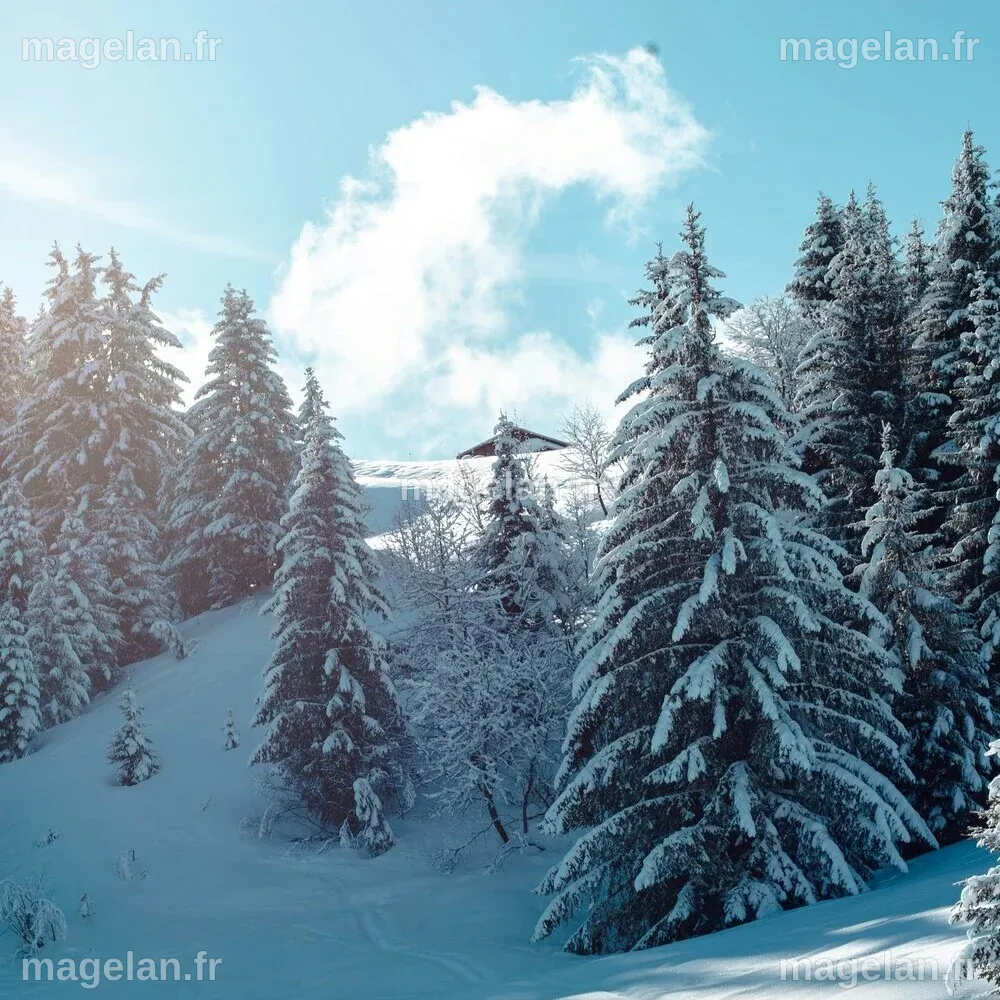 Ski nordique et Ski de fond à La Clusaz | Visiter La Clusaz