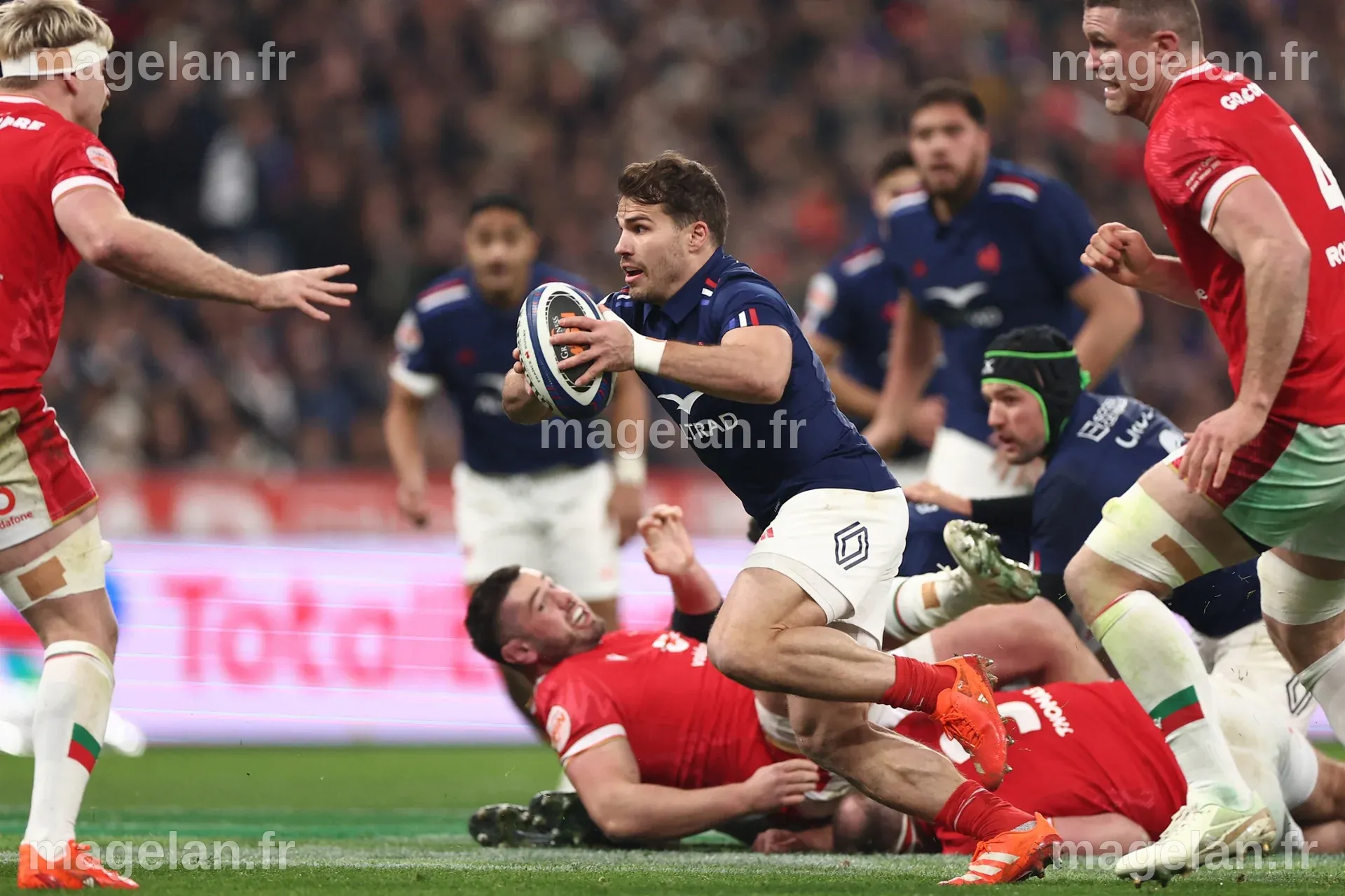 Tournoi des Six nations 2025 : "Si le XV de France perd contre l ...