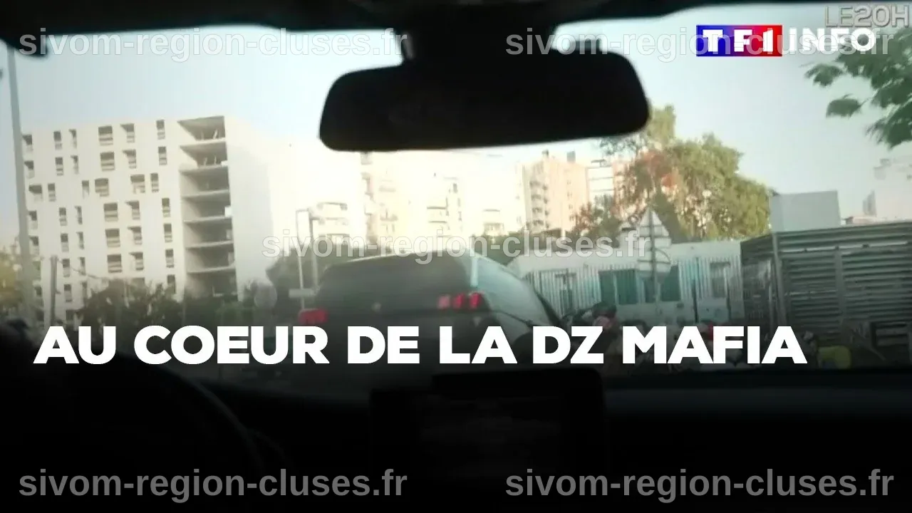 Documentaire | Au coeur de la DZ mafia