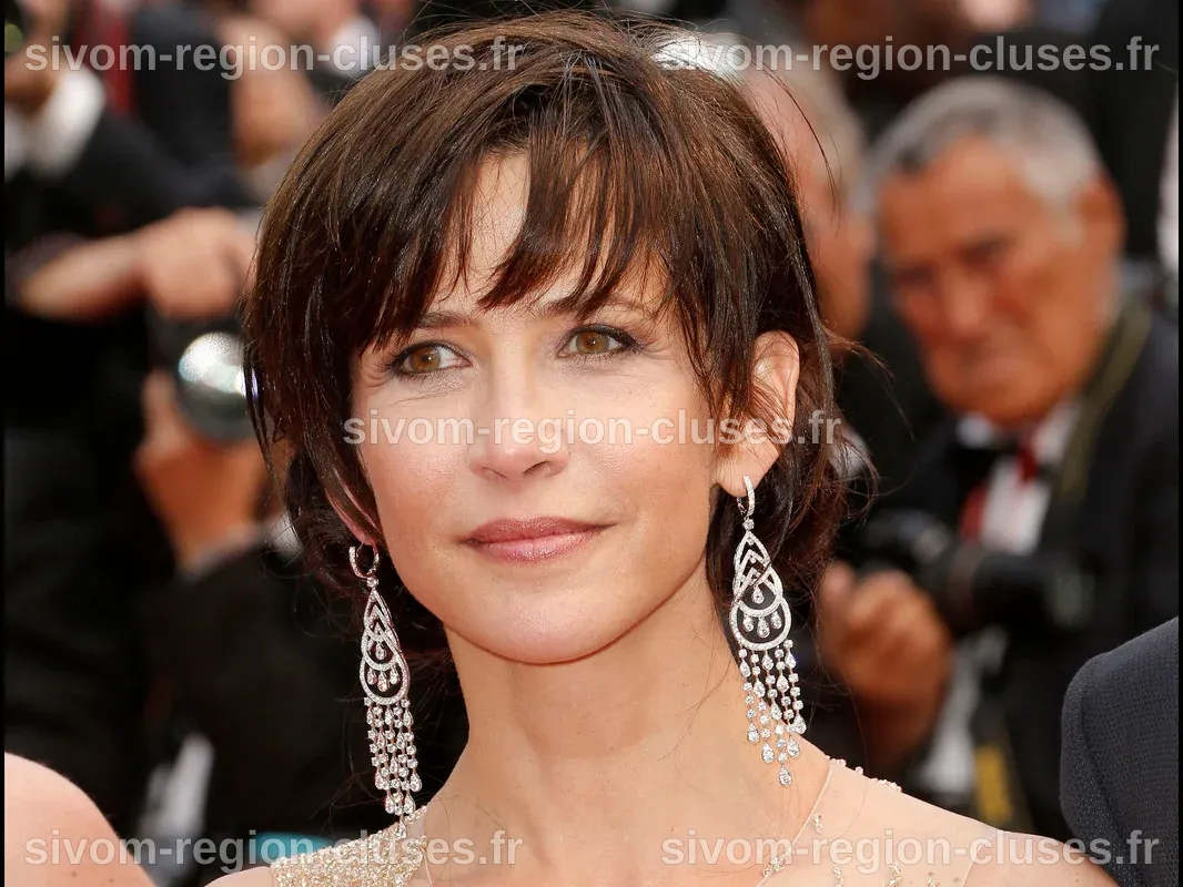 Sophie Marceau 2026: dating, net worth, tattoos, smoking & body ...
