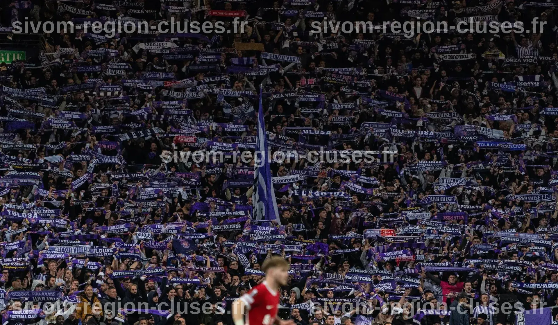 TFC - Benfica : toutes les infos sur la billetterie - LesViolets.Com