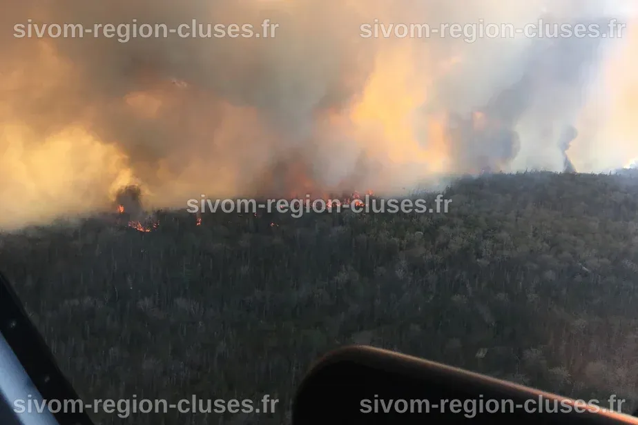 Des incendies de forêt déclarés hors de contrôle en Nouvelle-Écosse ...