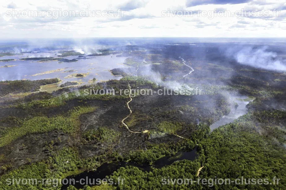 Nouvelle-Écosse | Les incendies de forêt détruisent 20 maisons dans la ...