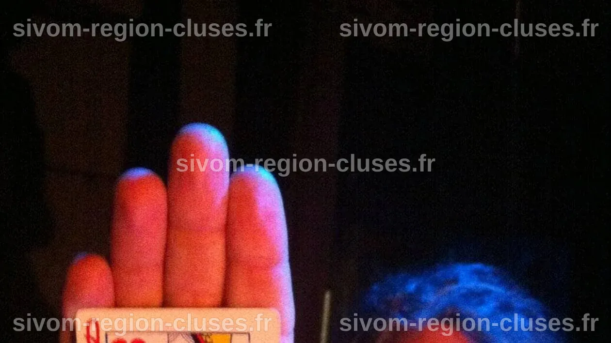 Fercé-sur-Sarthe. Un spectacle de magie inédit le 9 décembre