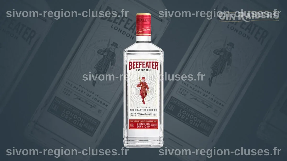 5 meilleurs gins pour débutants | Distilleurs | L'actu bars et alcools