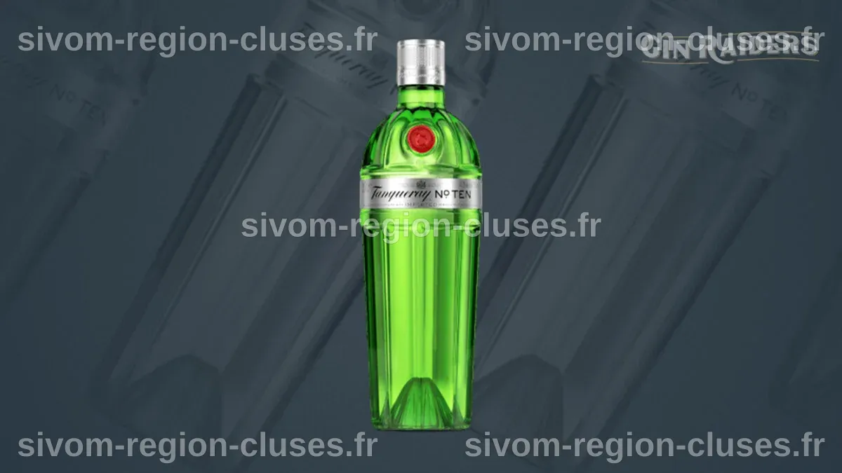 5 meilleurs gins pour débutants | Distilleurs | L'actu bars et alcools