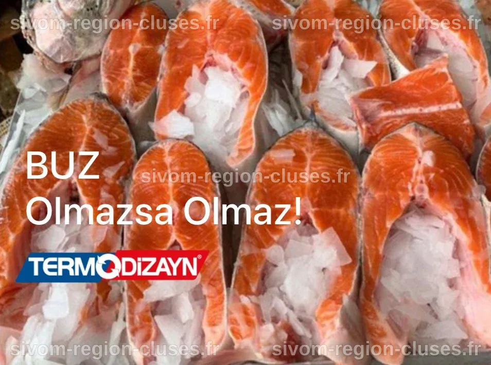 Le Saumon Turc en Forte Croissance sur les Marchés Internationaux