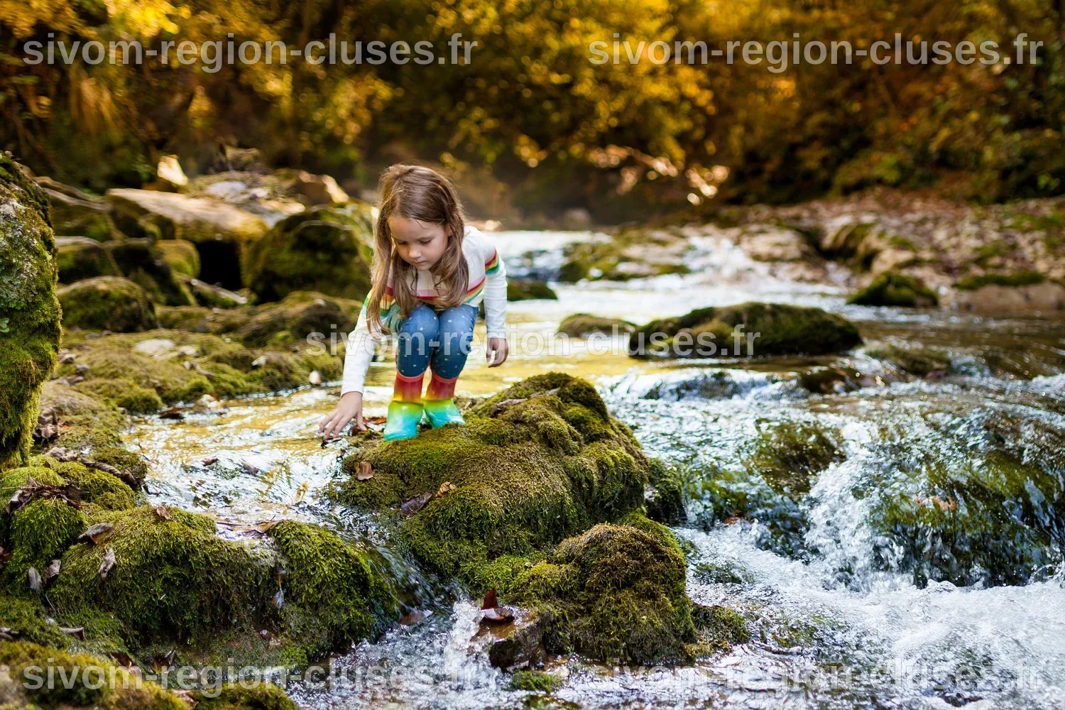 Tout savoir sur le cycle de l'eau