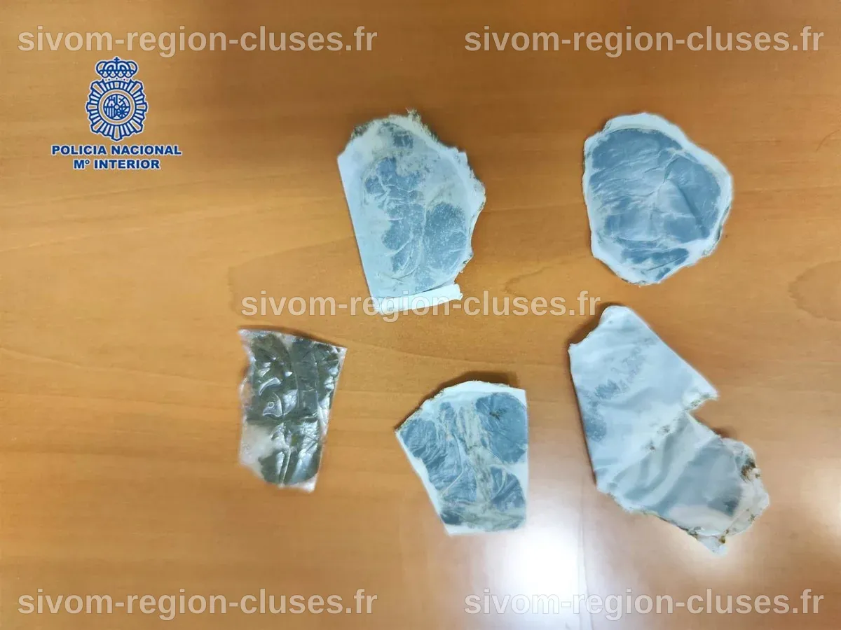 Une femme arrêtée pour avoir tenté de faire passer de la drogue à son ...