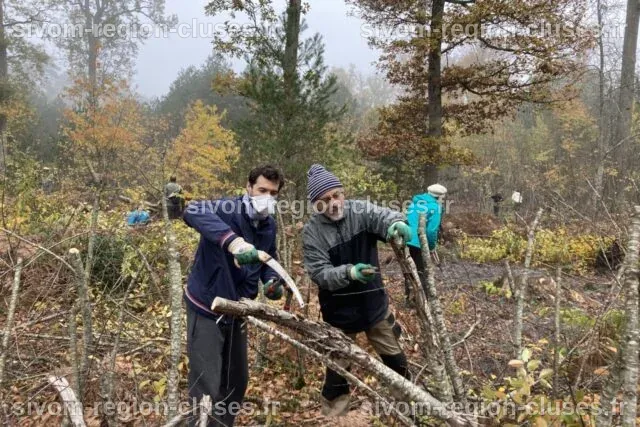 Autour de Fontainebleau : ces bénévoles veulent sauver la forêt