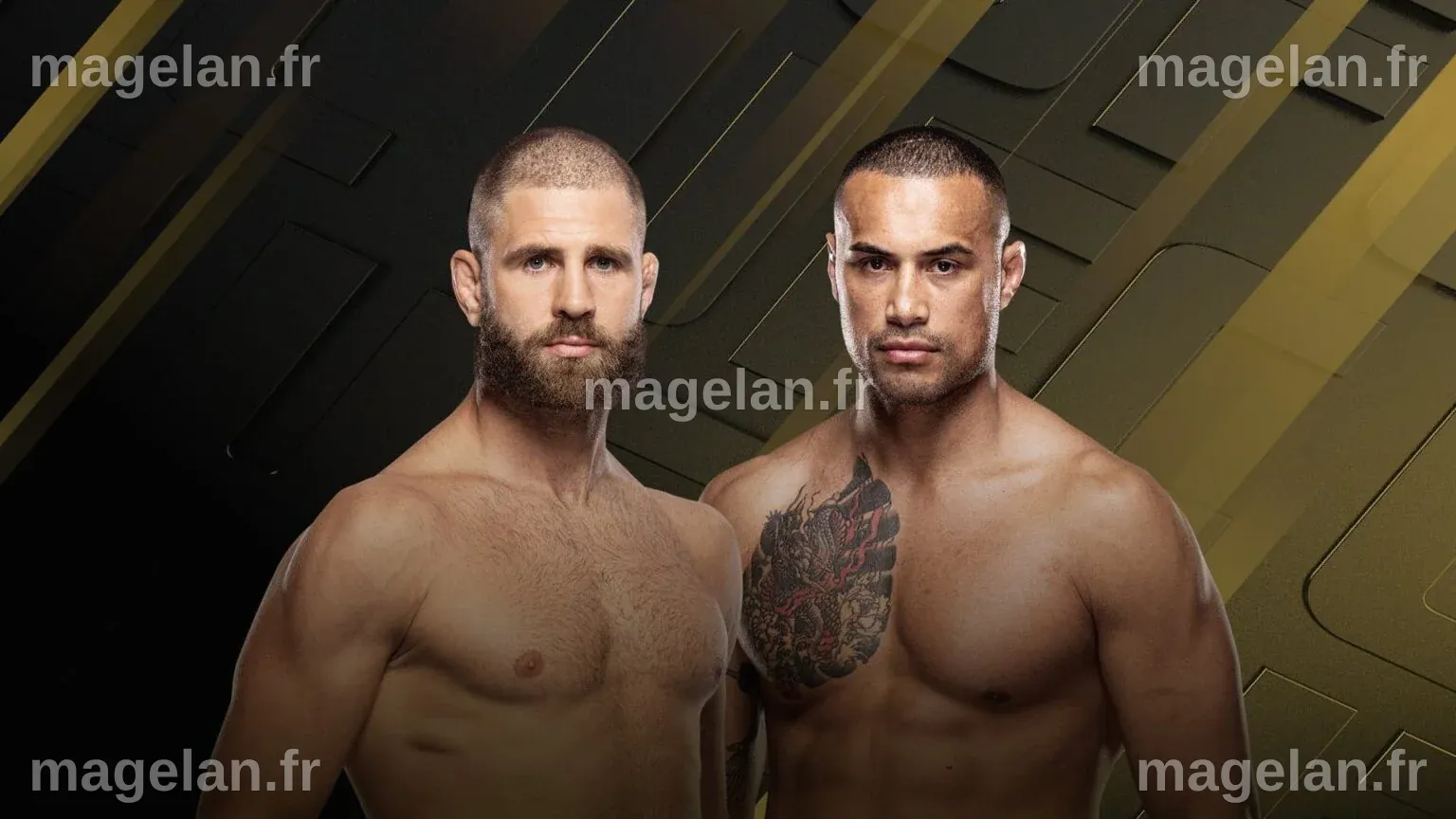 UFC 327: Prochazka vs Ulberg date, time, tickets, stream - FIGHTMAG