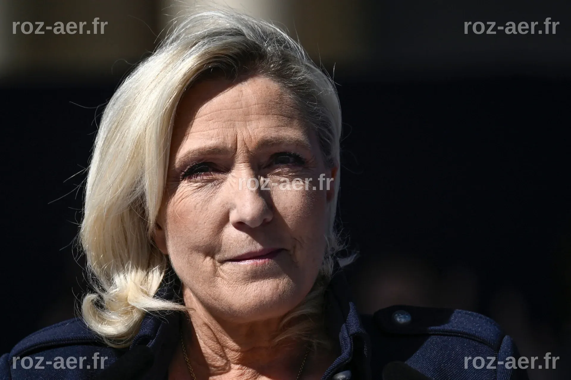 Elections en Hongrie : Marine Le Pen, un soutien ambigu à Viktor Orban