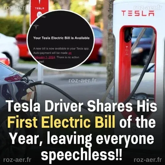 A Tesla driver reveals his first annual electric bill, and the cost ...