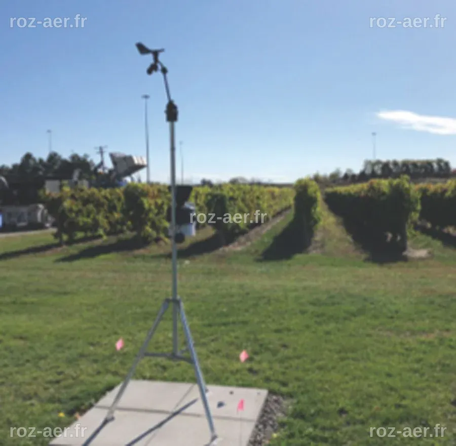 Les conditions météorologiques posent des défis aux vignerons de la région