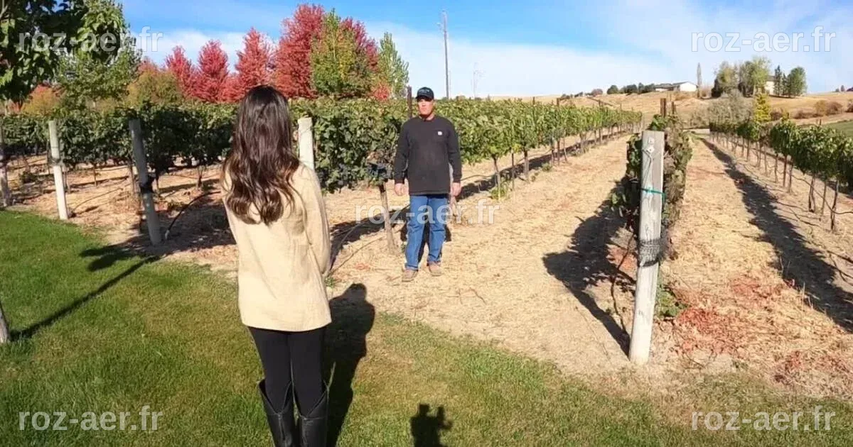Warm October weather helps local grape growers reach harvest