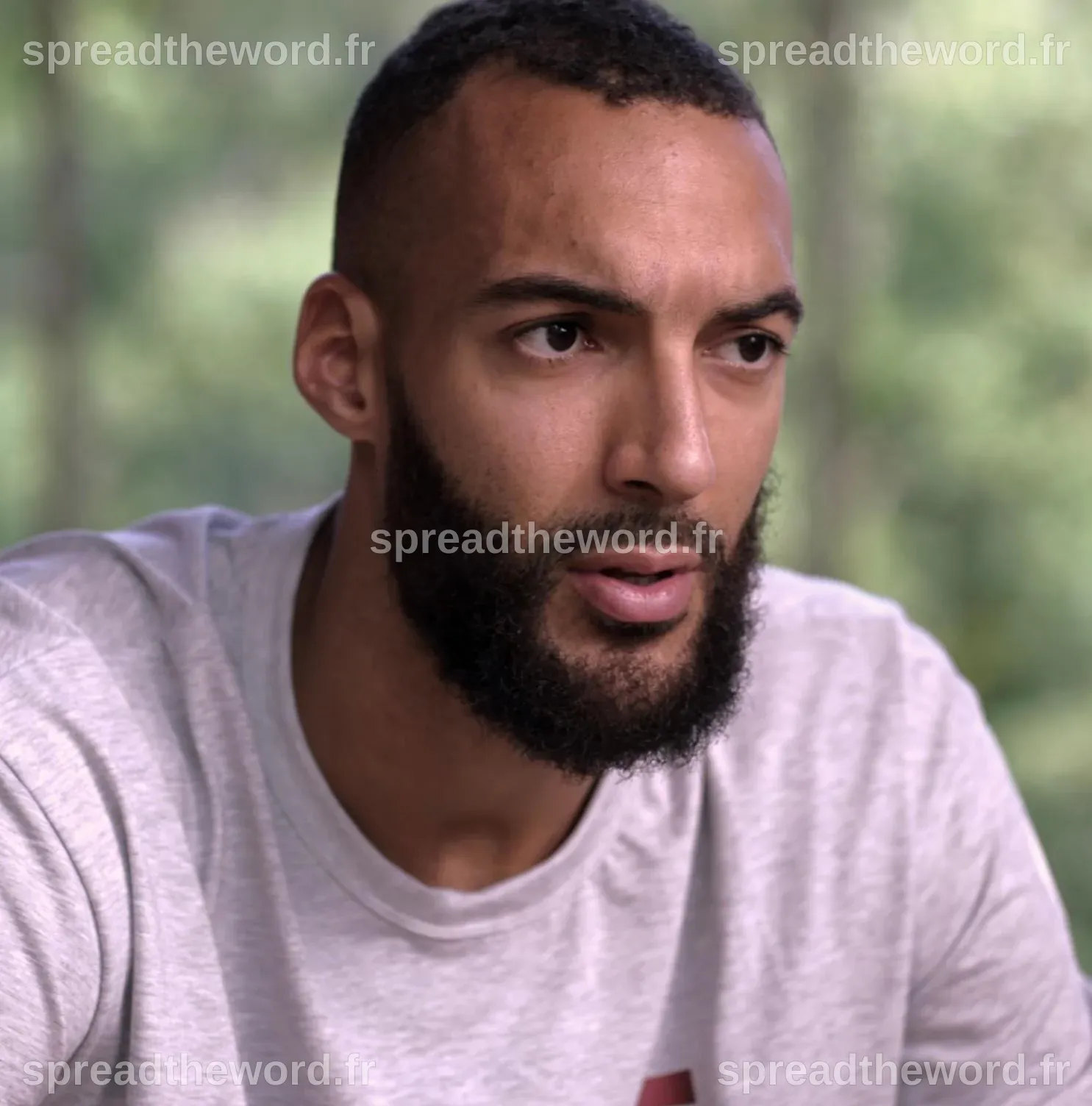 How Tall Is Rudy Gobert | Height Comparison Tool