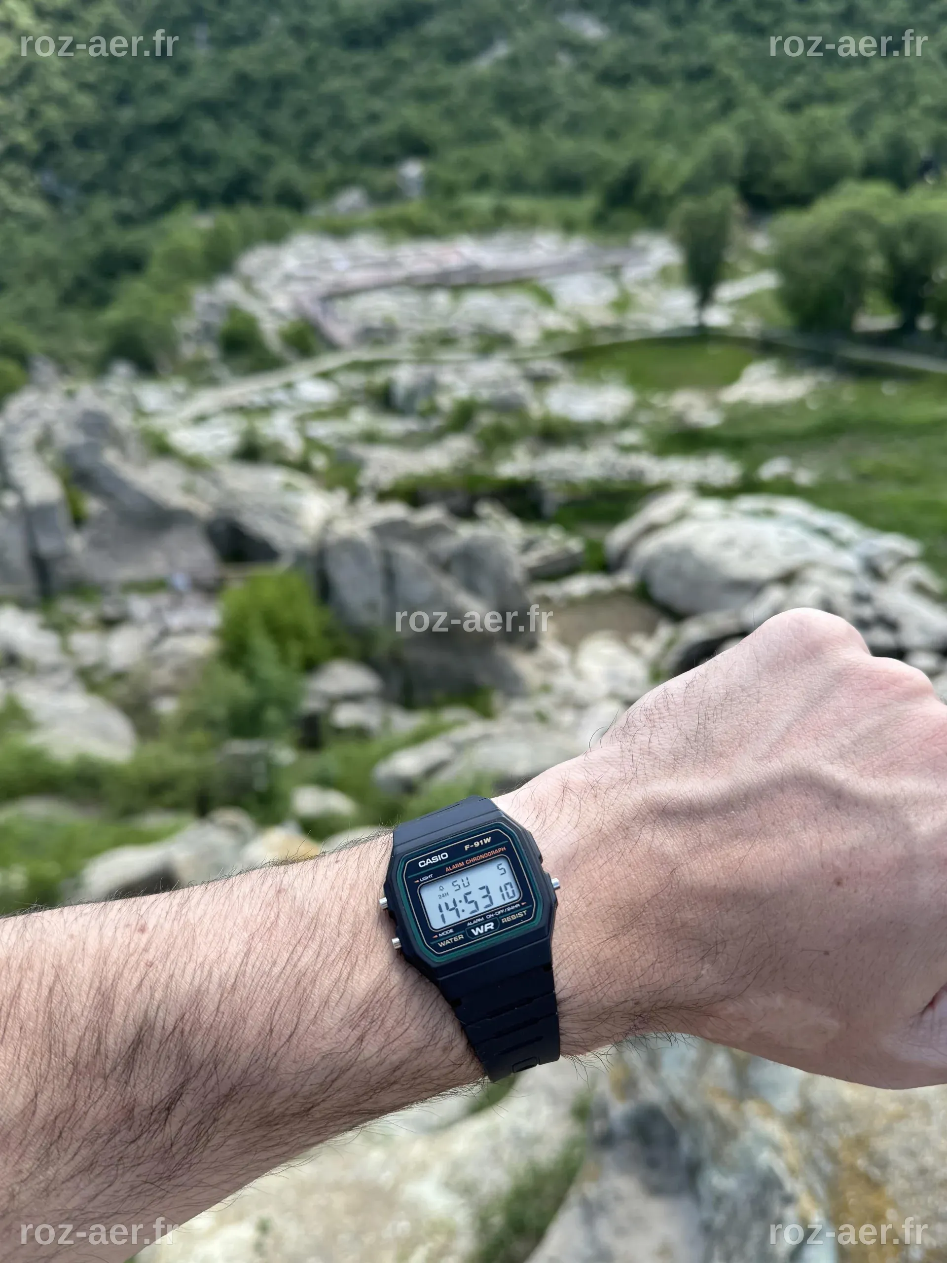 The perfect exploration watch : r/casio