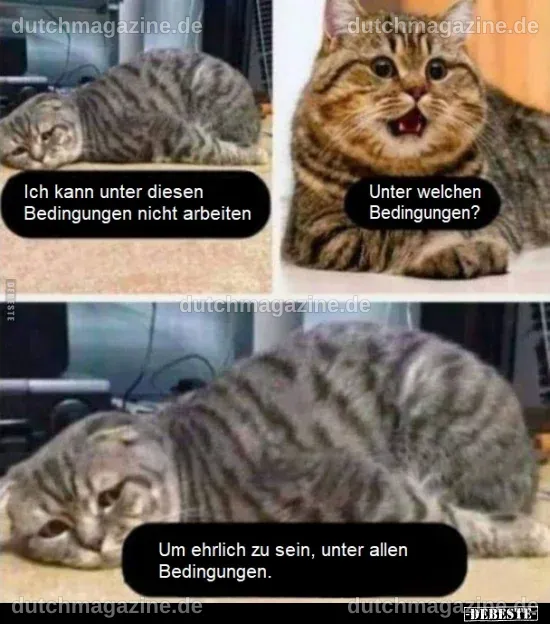 Ich kann unter diesen Bedingungen nicht arbeiten. Unter welchen ...
