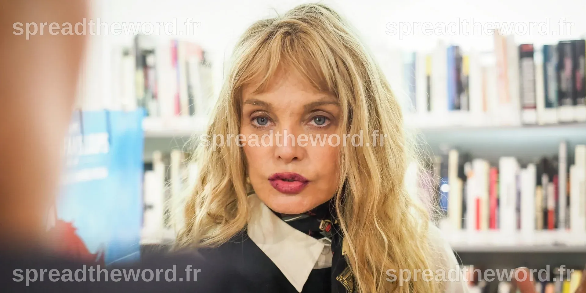 Qui est Arielle Dombasle