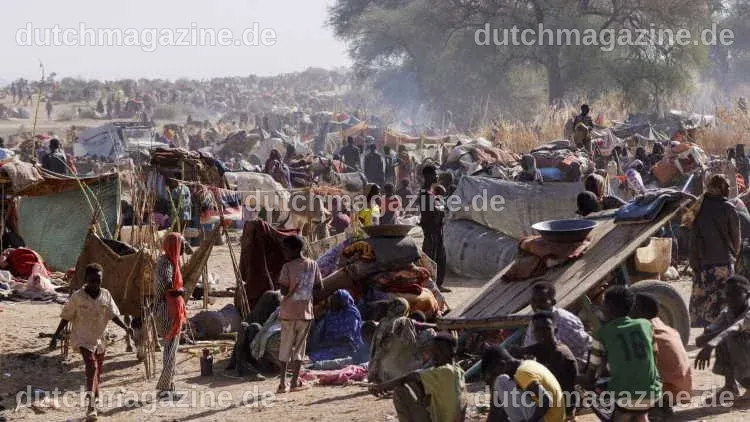 The Cost of Europe’s 'Close-to-Silence' Diplomacy on Sudan’s War