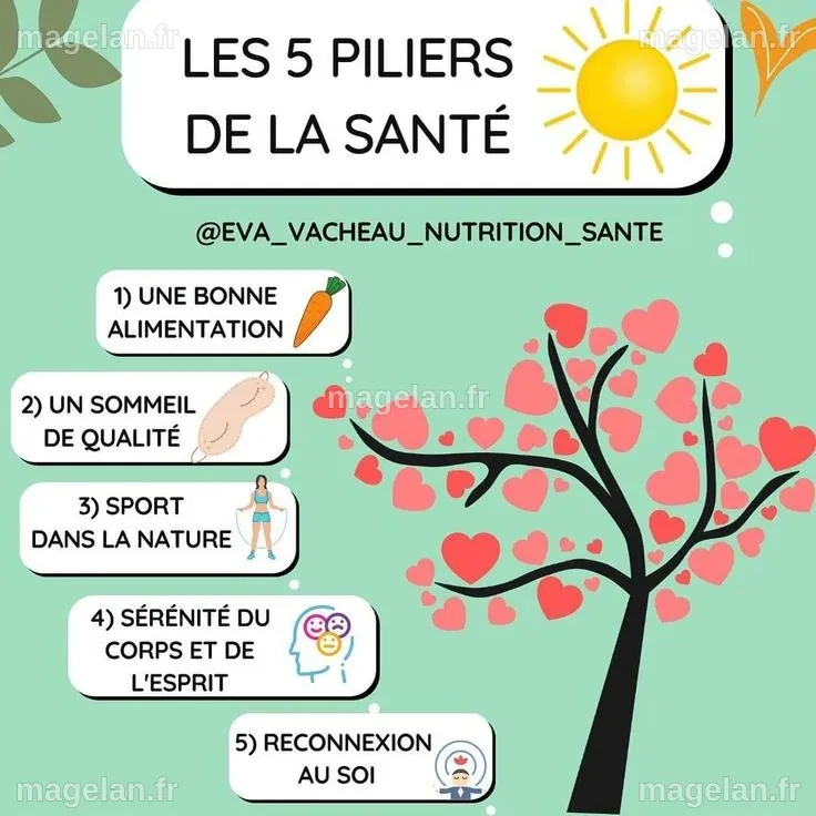 LES 5 PILIERS DE LA SANTÉ ☀️