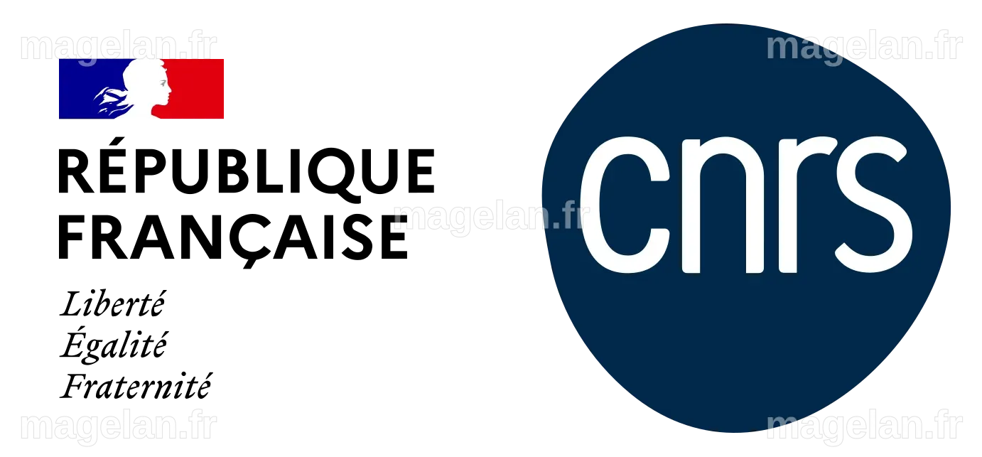 Le CNRS dévoile ses médaillés d’argent 2024 | CNRS