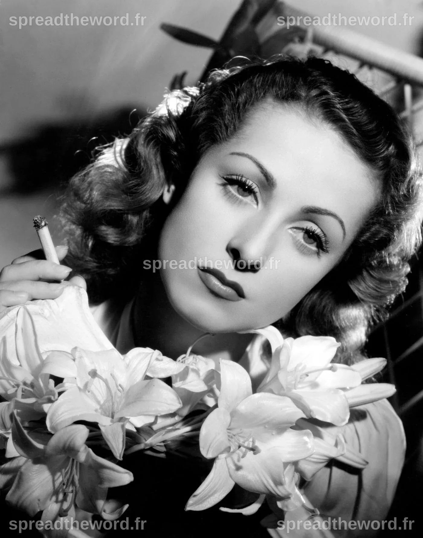 From Paris to Hollywood: The Long and Successful Career of Danielle ...