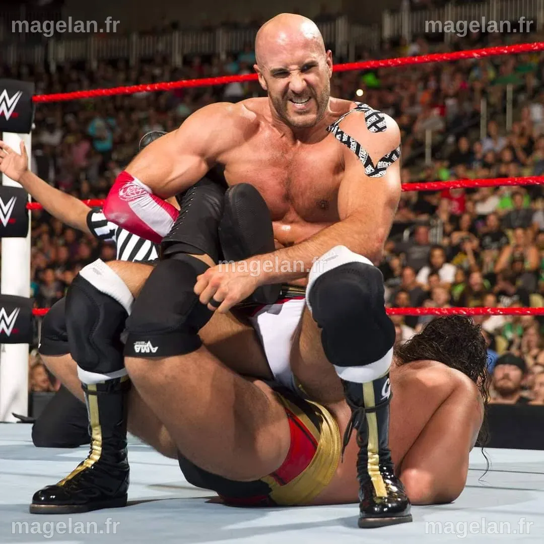Image posted on May 17, 2024 – @father-of-wrestling on Tumblr