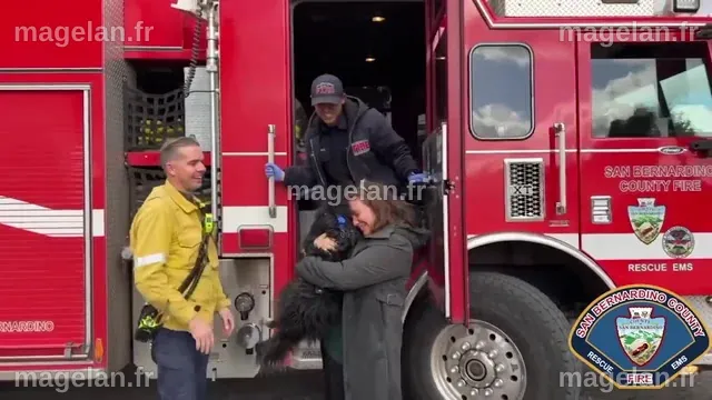 Des pompiers d'Eatontown sauvent un chien coincé dans un drain : un quotidien pas comme les autres