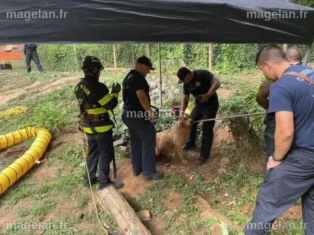 Firefighters rescue dog from drain pipe in Winston-Salem