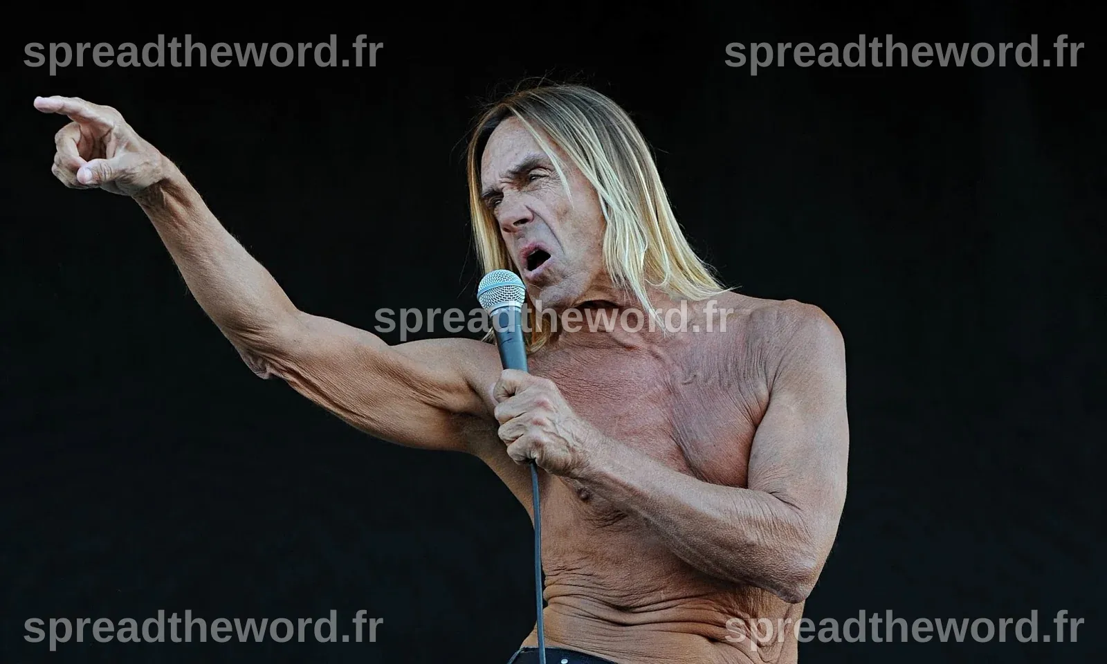 Iggy pop age - lopiway