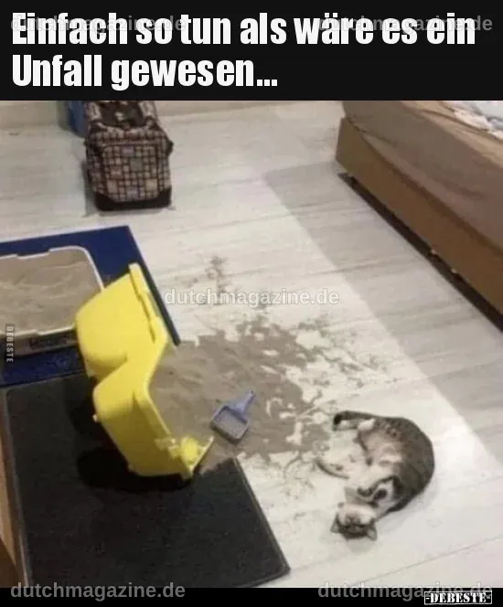 Einfach so tun als wäre es ein Unfall gewesen... - DEBESTE.de