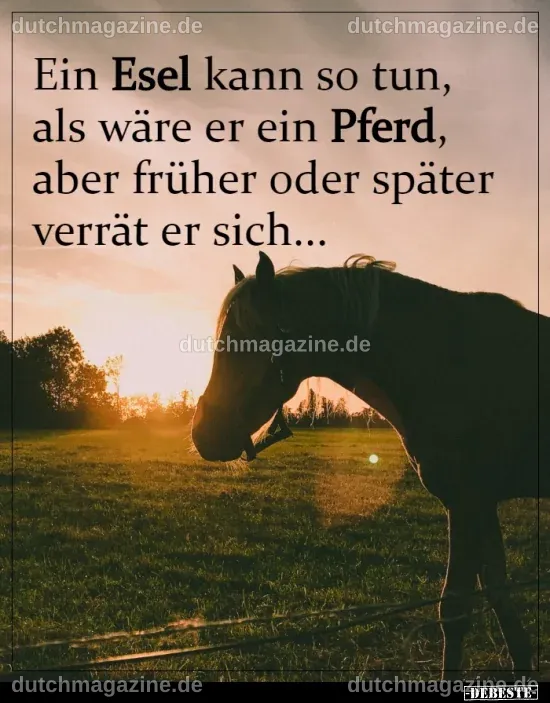 Ein Esel kann so tun, als wäre er ein Pferd, aber früher.. - DEBESTE.de