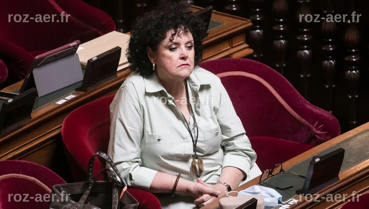 Un rapport sénatorial s'alarme de la 