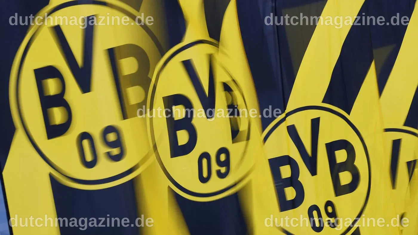 Abmahnung wegen Aufkleber: BVB geht juristisch gegen AfD-Wahlwerbung vor