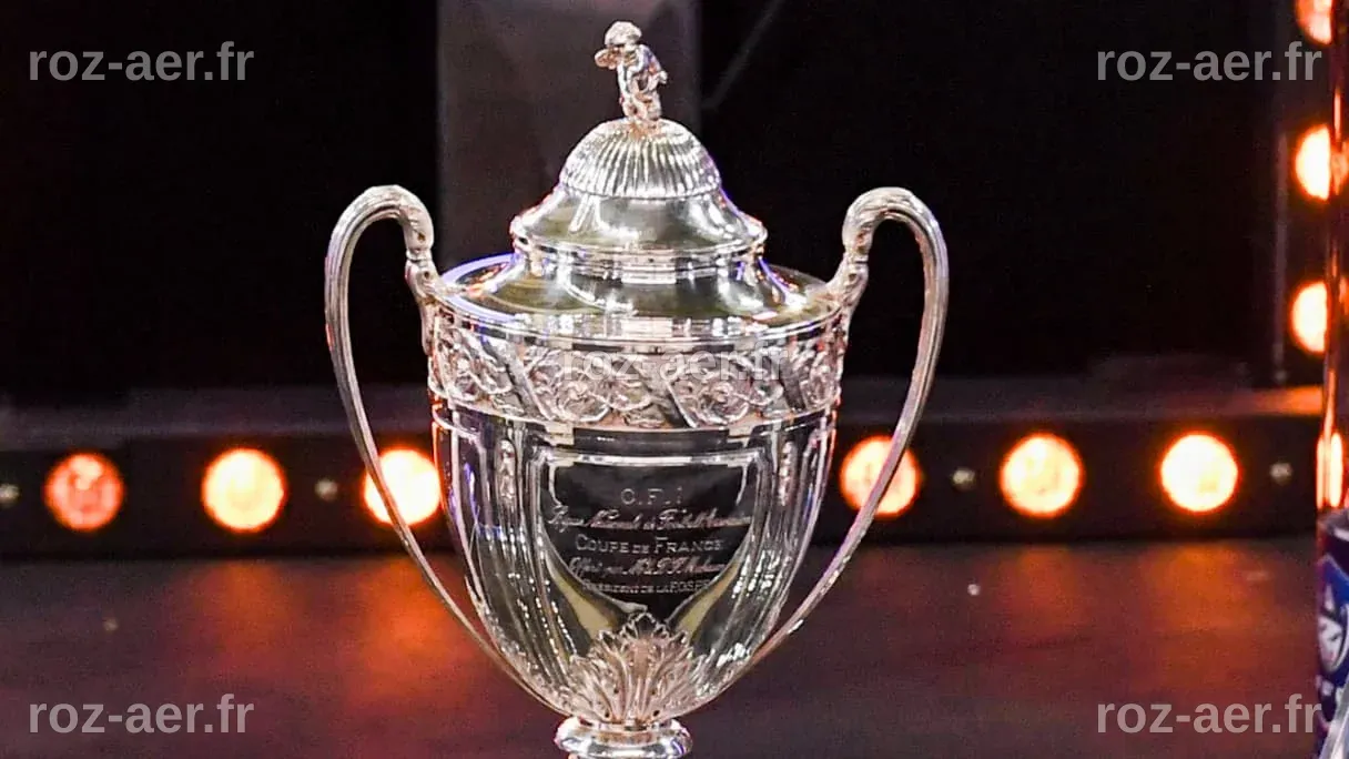 Coupe de France: Vierzon disqualifié des 32es de finale, la compétition ...