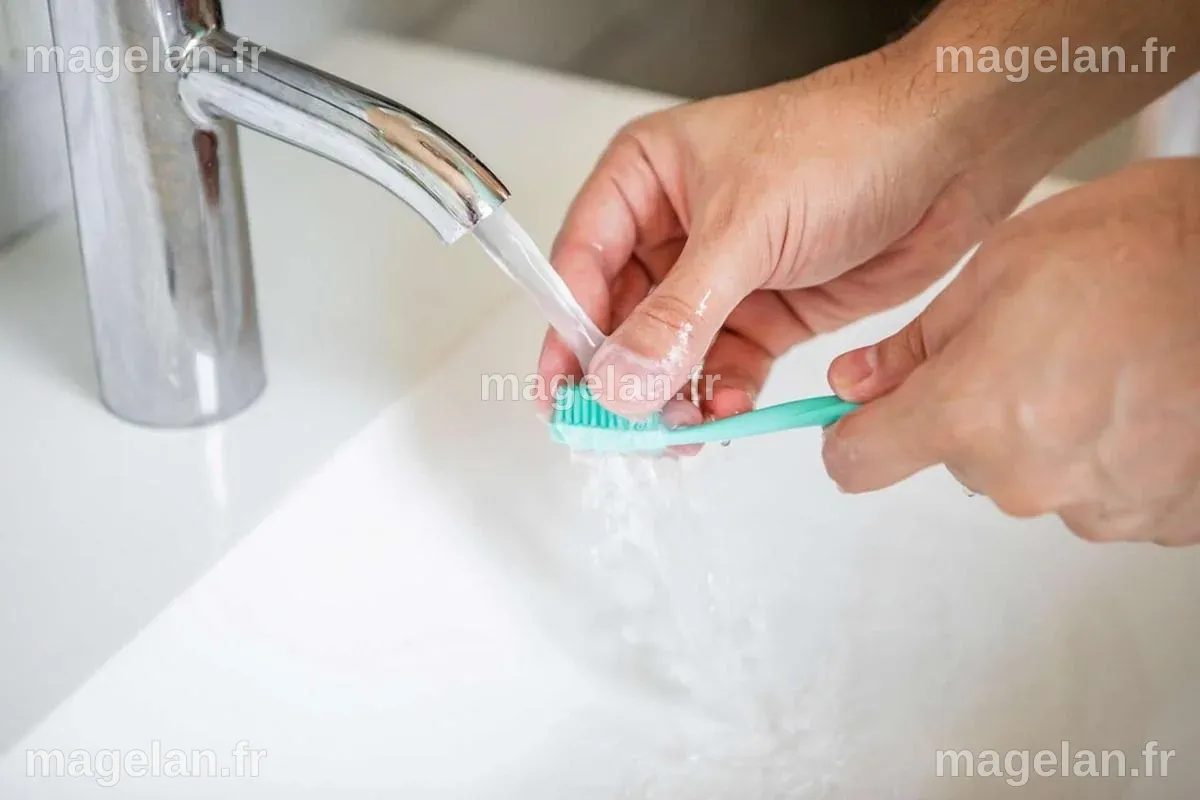 Les virus pullulent sur les brosses à dents et pommes de douche ...