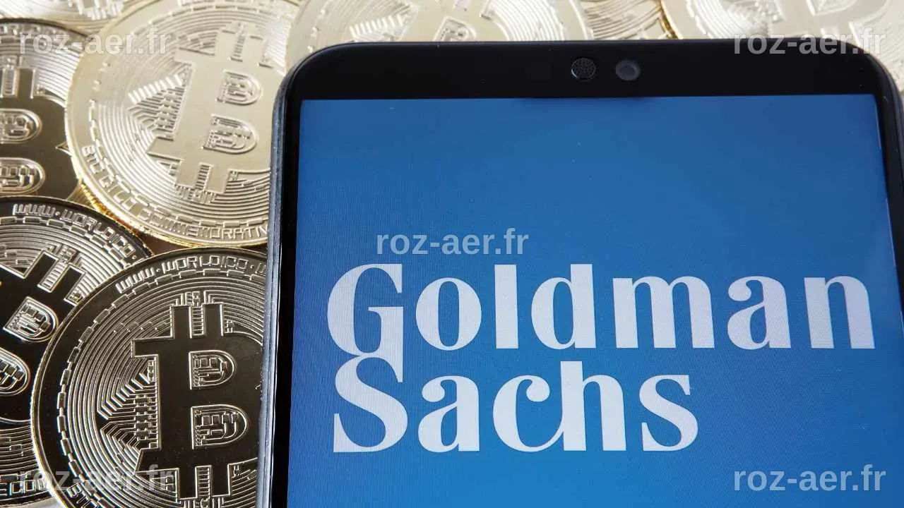 Goldman Sachs Lance Un Service De Données Pour Aider Les Investisseurs ...
