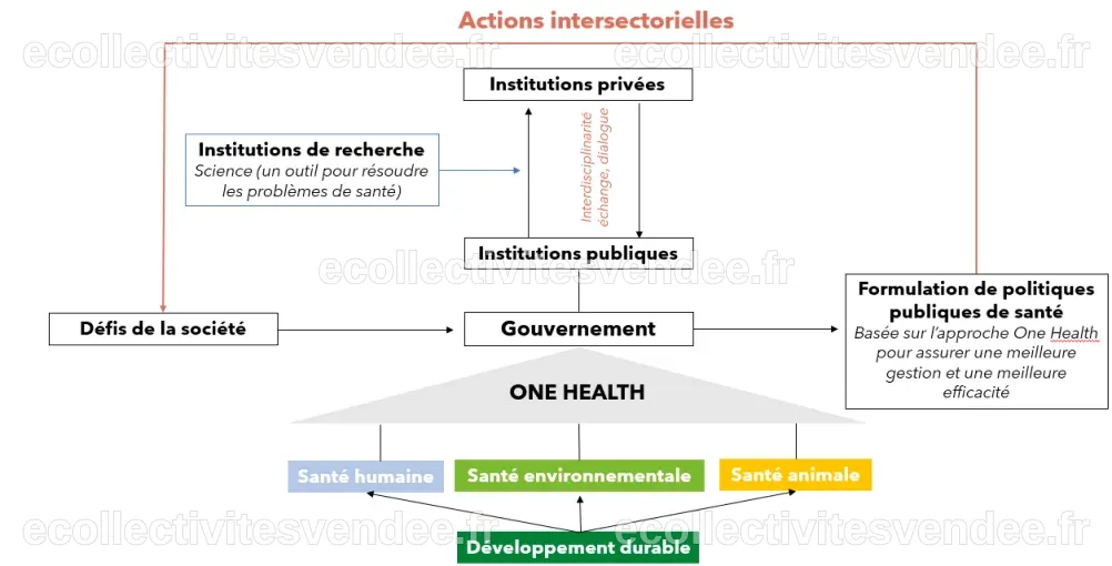 “One Health”, un concept essentiel pour les décideurs politiques